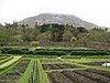 gardens located at the kylemore abbey